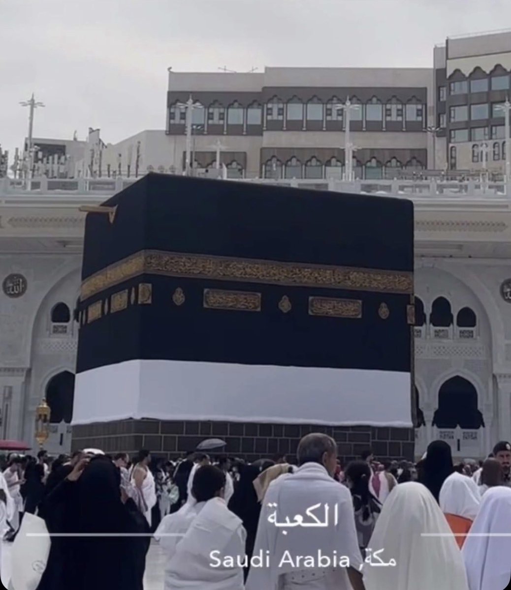 أ.حوريه tweet media