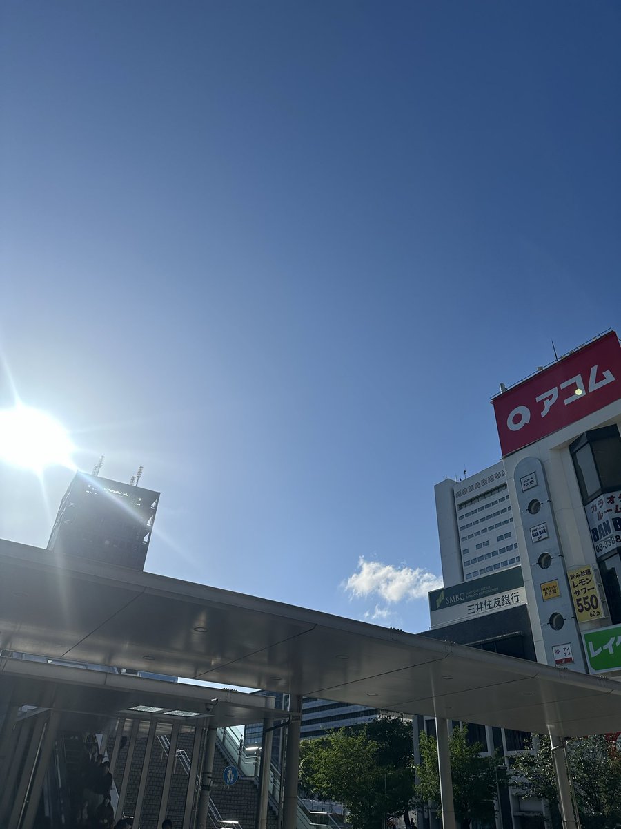 柳家わさび tweet media