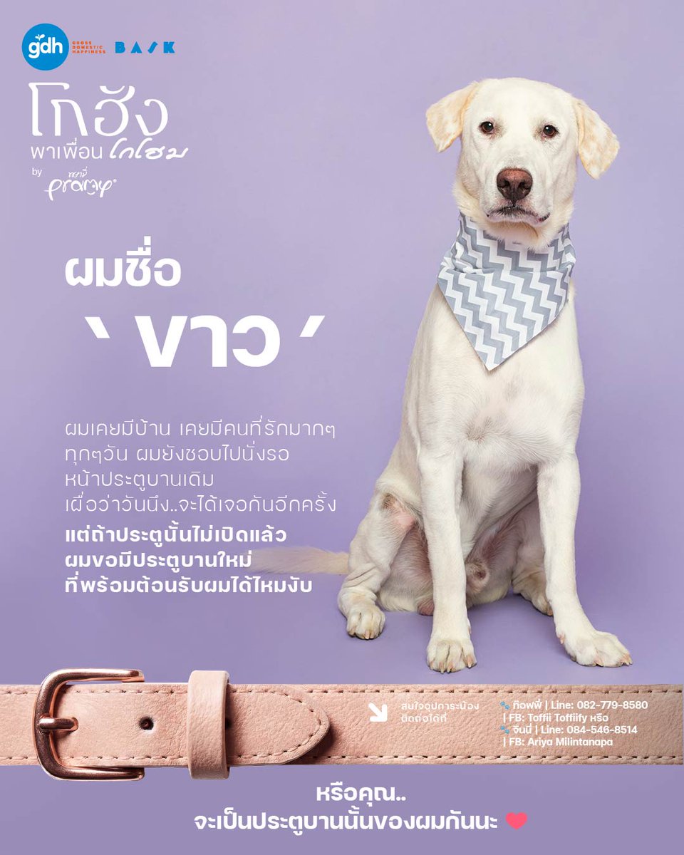 GDH tweet media