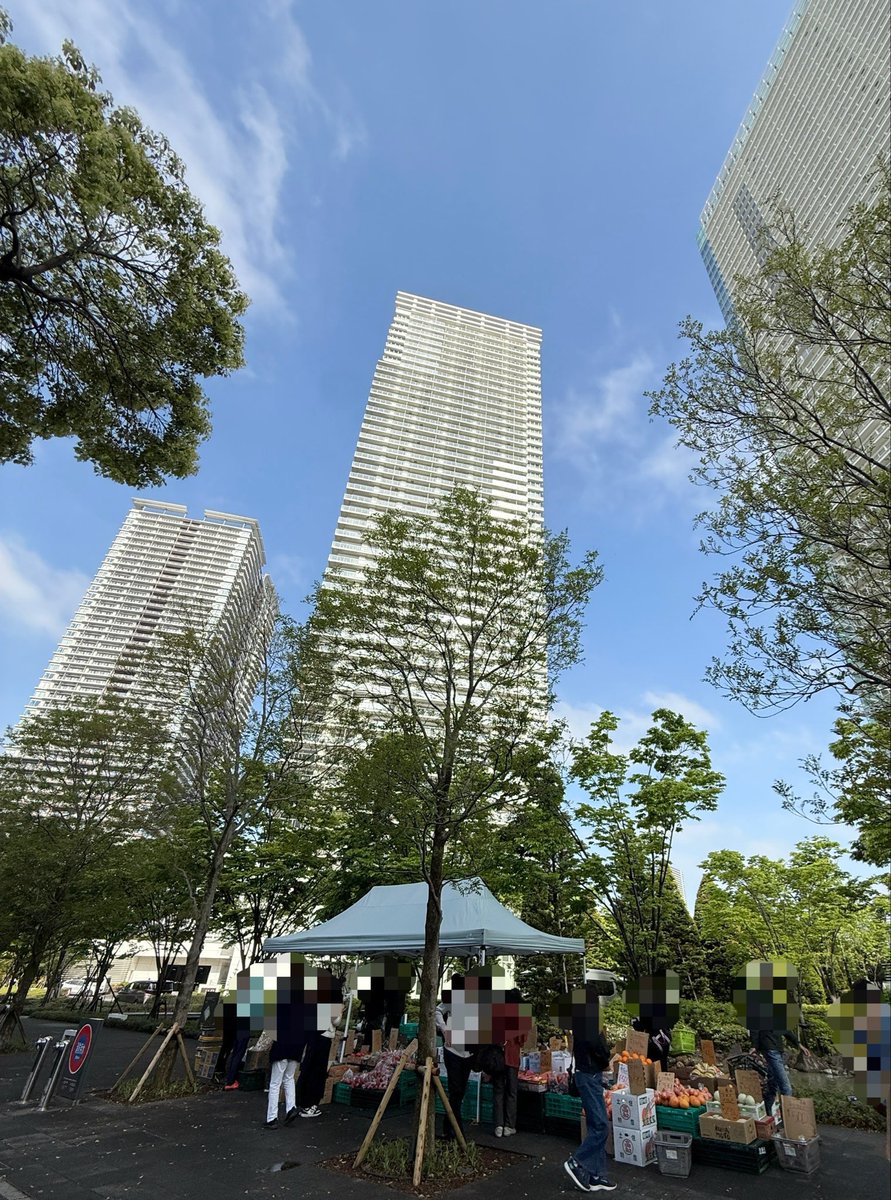 晴海二丁目バス停前（クロノレジデンス公開空き地）でふるてりあマルシェ🍓
毎週金曜日に開催だそうです☺️！