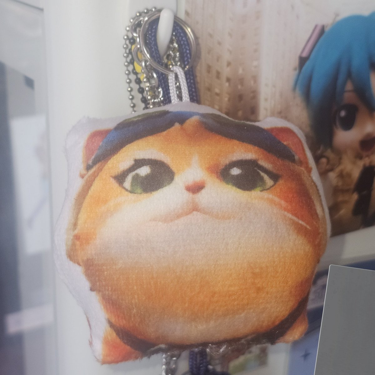 하왕이 tweet media