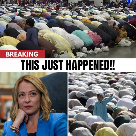 Make Europe Great Again - M.E.G.A tweet media