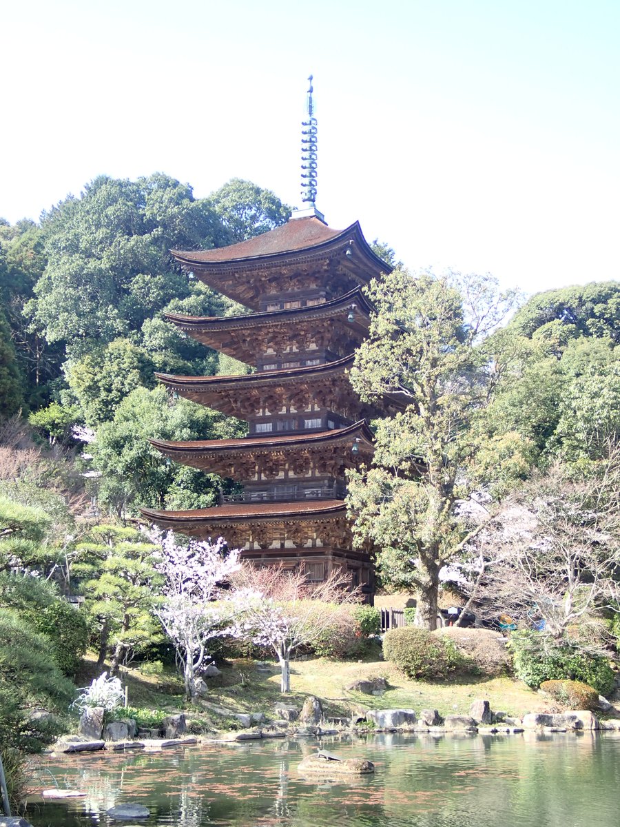 山口市_文化財保護課 tweet media