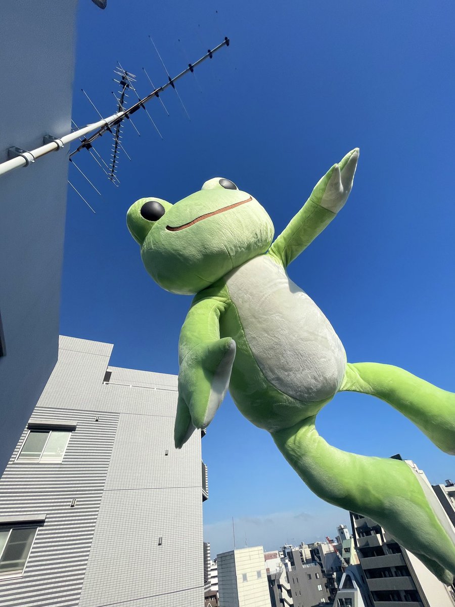 カエルのピクルス かえるのピクルス/pickles the frog (@picklesthefrog6) / Posts / X
