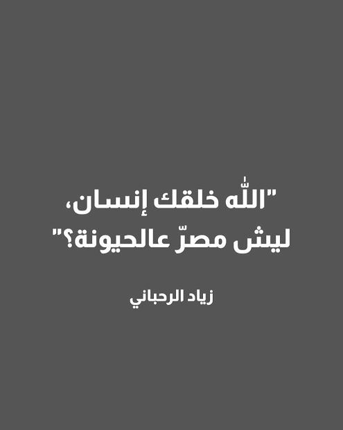 ليليان الساحلية 🌿☀️ tweet media