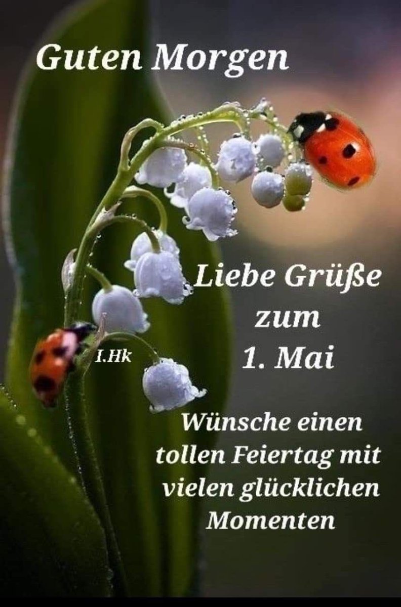 Demila Schröder tweet media