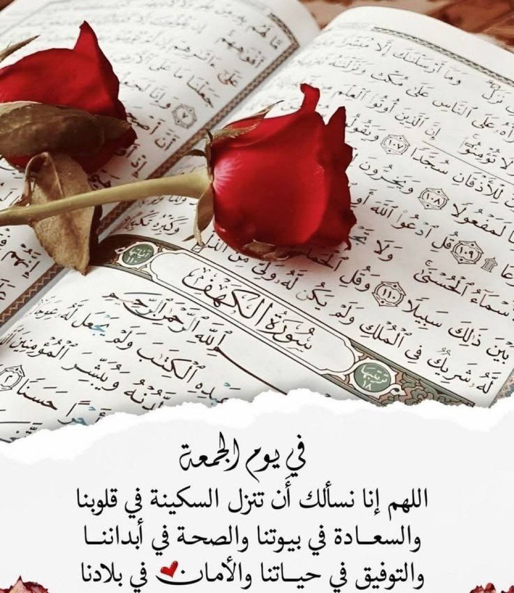 وردة🍃🍃🍃 tweet media