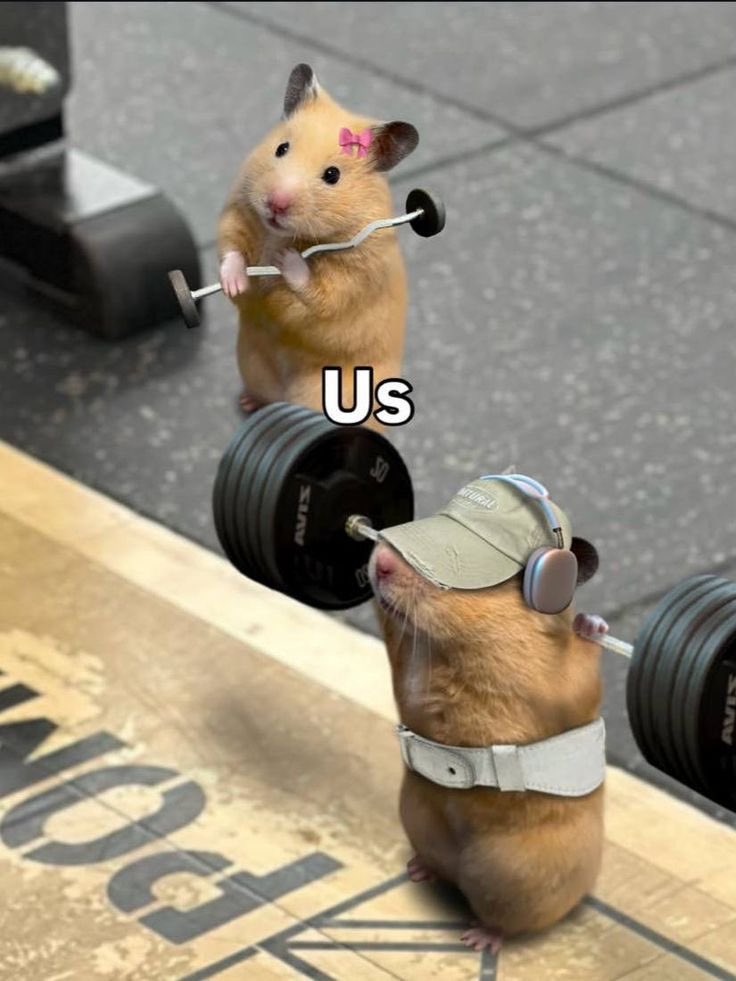 ☾ tweet media