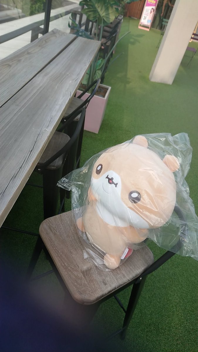 アヤネ tweet media