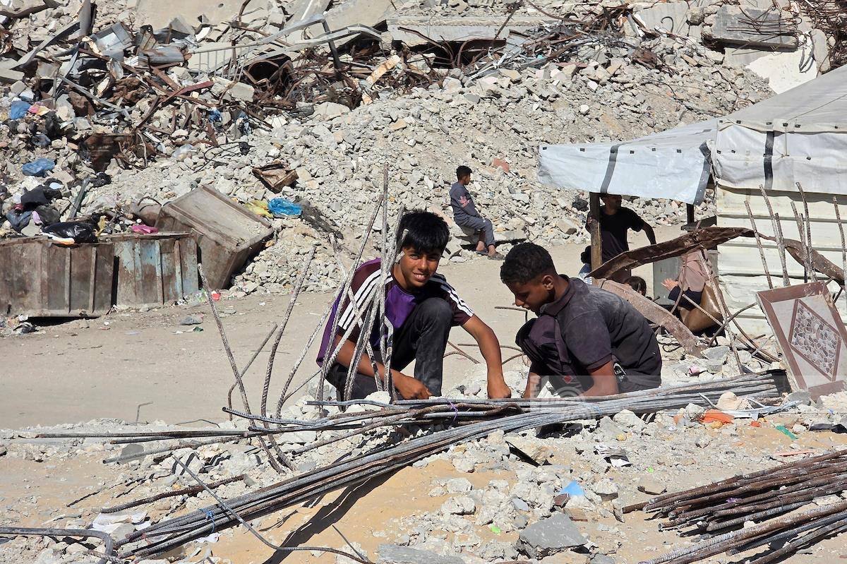 غزة الآن - Gaza Now tweet media