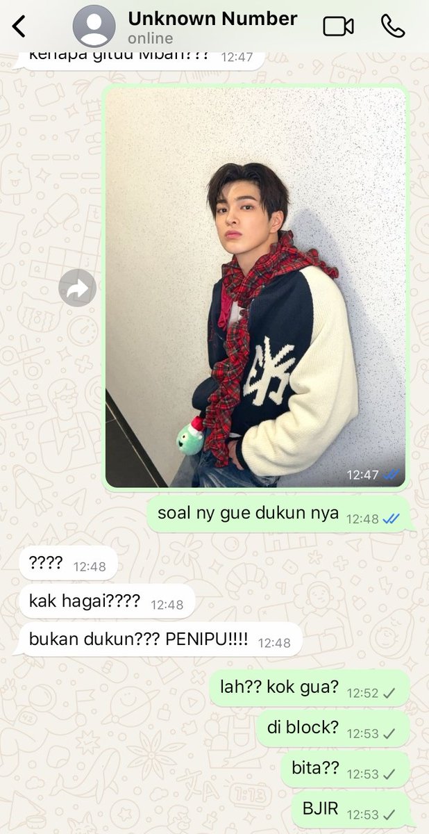 ocelaa tweet media