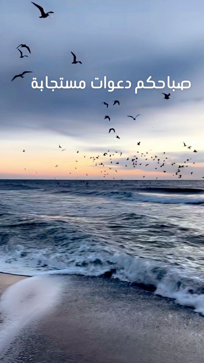 smsmsm1973 tweet media