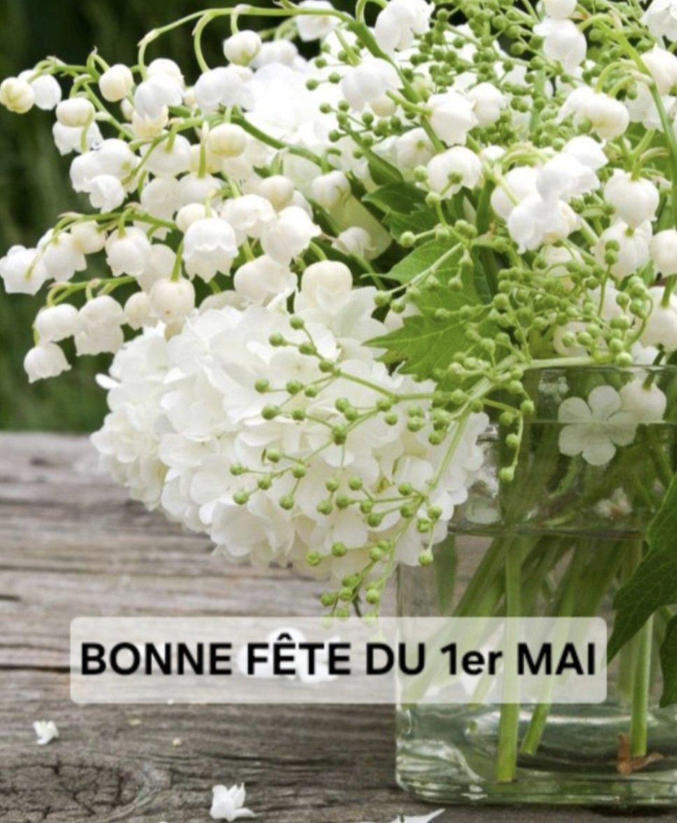 Lycée Louis Blaringhem Béthune tweet media