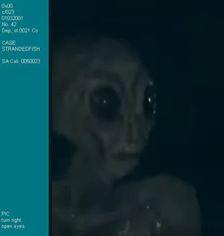 UFO mania tweet media