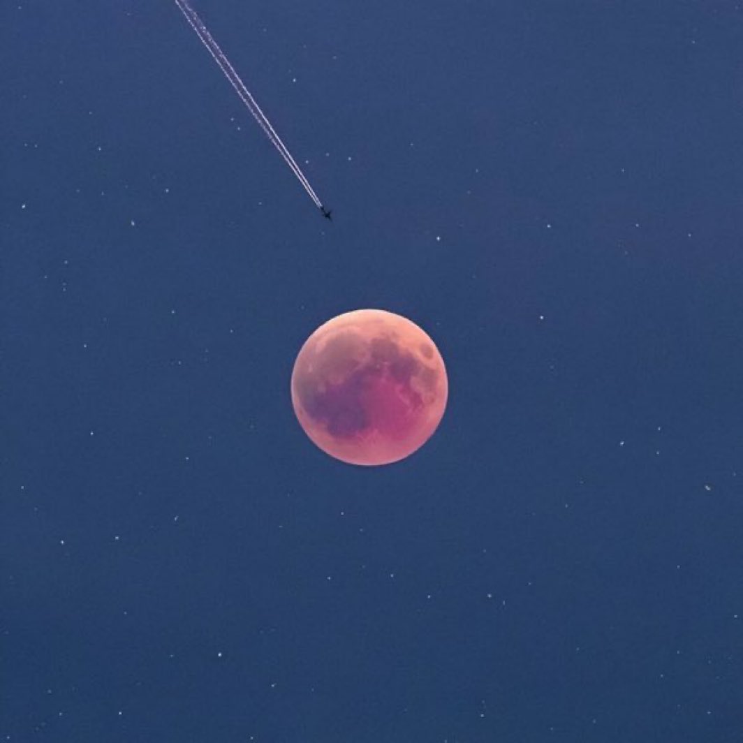 MOON LOVER tweet media