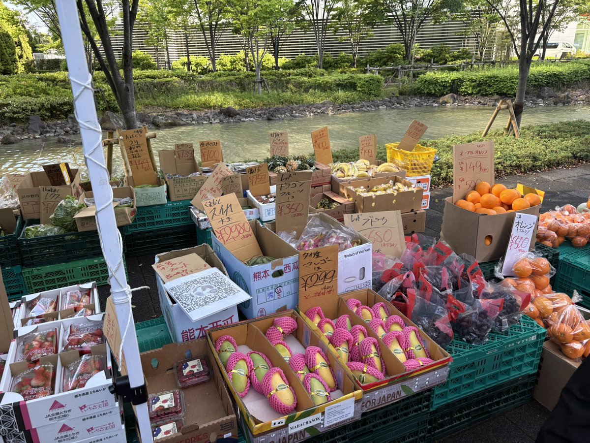 晴海にふるてりあが来た！