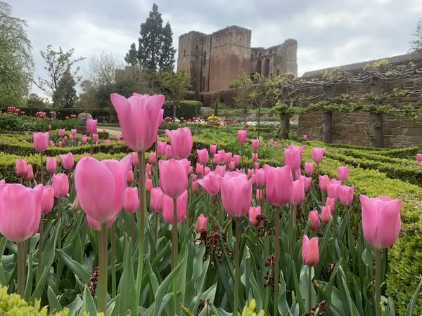 bablakewx's tweet image. Date records in #Coventry archives 1892-2025

1st May

Warmest day....26.5°C...2025

Coldest day......7.5°C.....1979

Coldest night....-1.8°C...1976

Mildest night....10.9°C....1923

Grass minimum....-6.7°C....1906 1919

Wettest day………21.1mm..1983

Sunniest