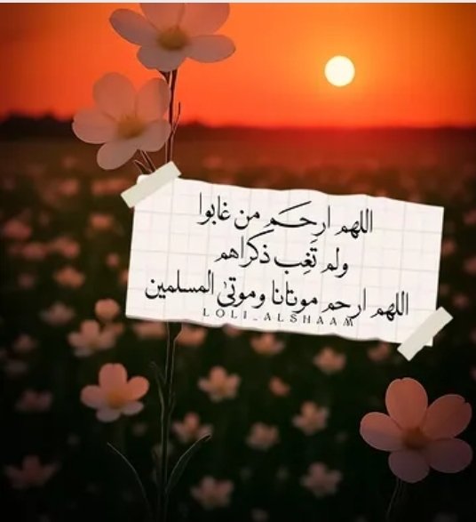 Hoda Zayed tweet media
