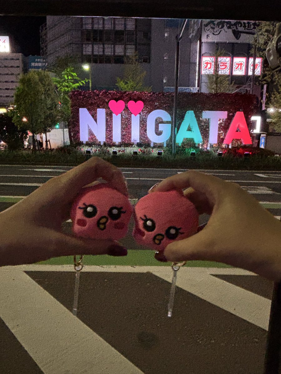 みきてぃ tweet media