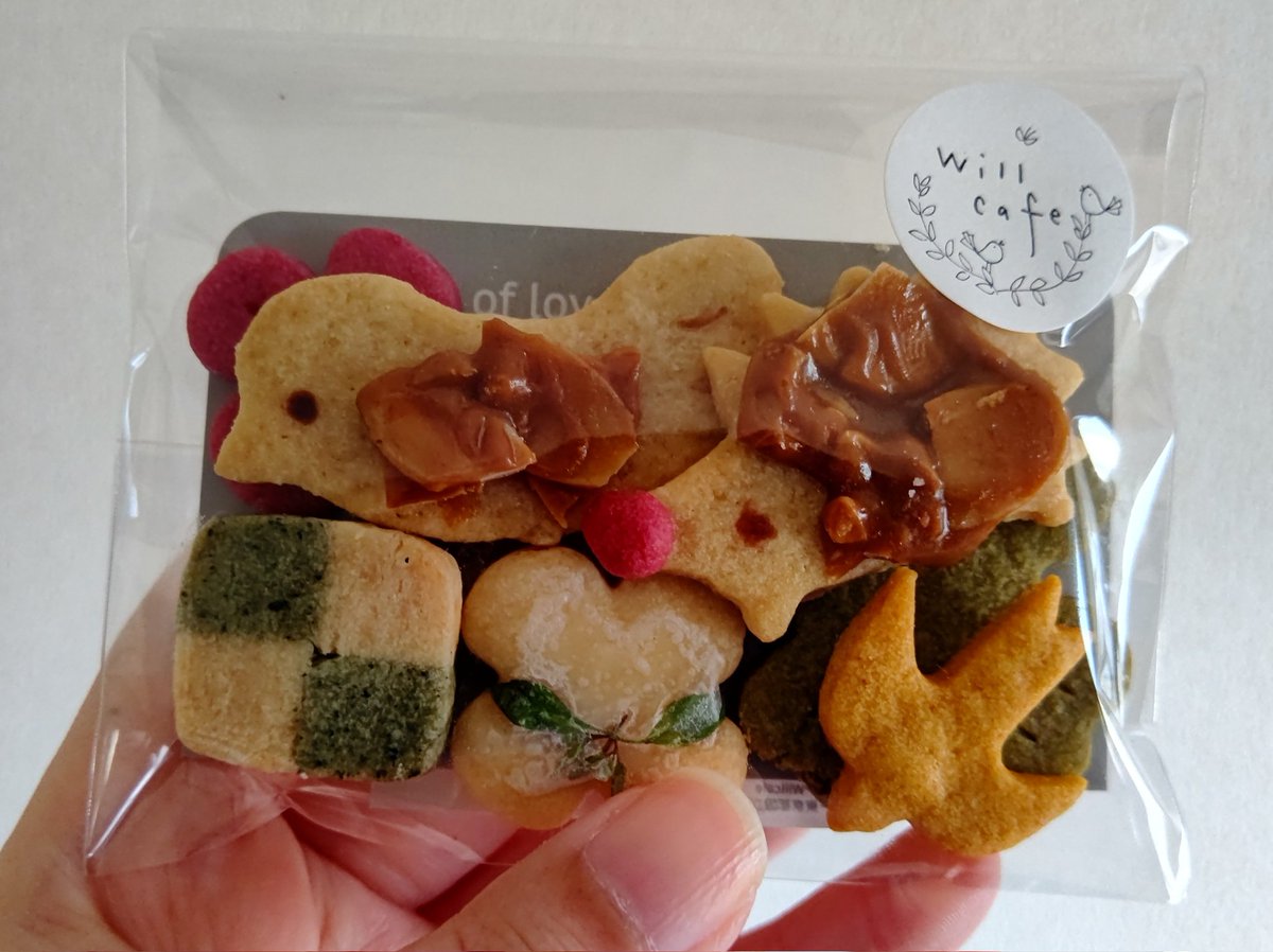食べたかったキッシュプレート！
セットのシフォンケーキとアイスコーヒー！
そしてこれまたかわいいクッキー！
ワァイ！！