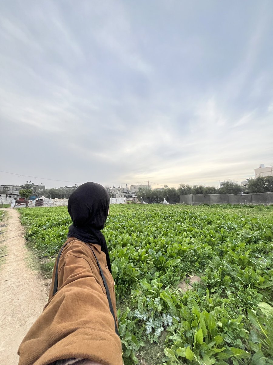Nasma🇵🇸👩‍💻 tweet media