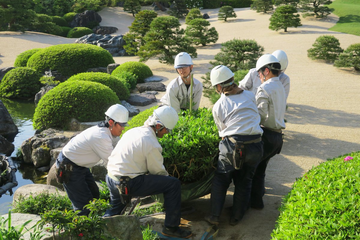【公式】足立美術館／Adachi Museum of Art tweet media
