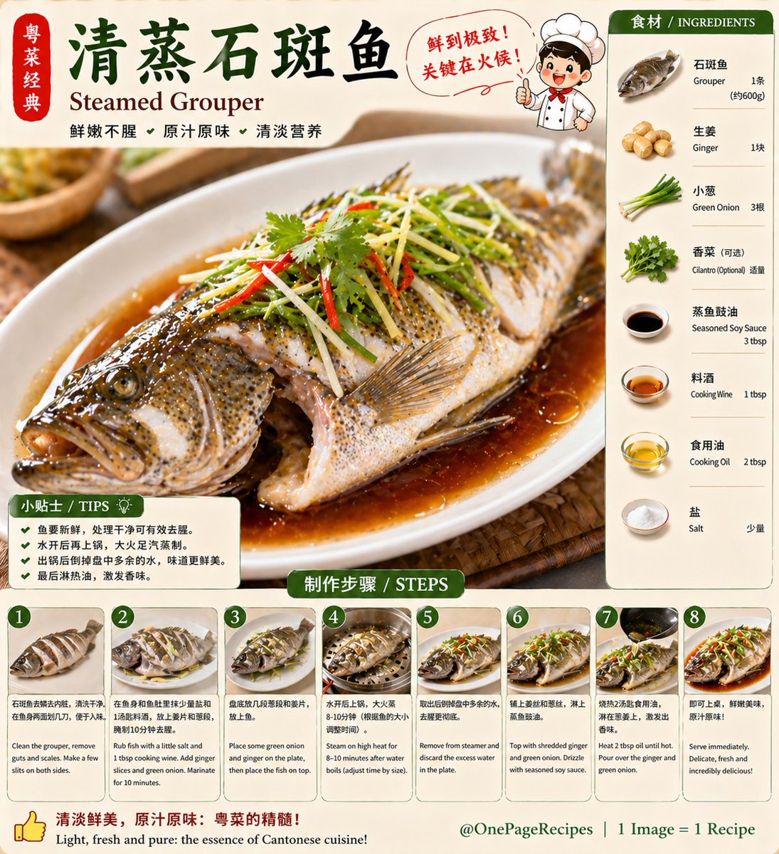 wumingzhibei26's tweet image. 清到极致🔥
清蒸石斑鱼｜粤菜巅峰
鲜嫩爆汁，全靠火候😋
越简单越高级👇
Pure perfection 👀🔥
Steamed Grouper
Light, delicate, insanely fresh 😋
Master the timing👇
@OnePageRecipes
#ChineseFood #Recipe #Foodie #EasyRecipes