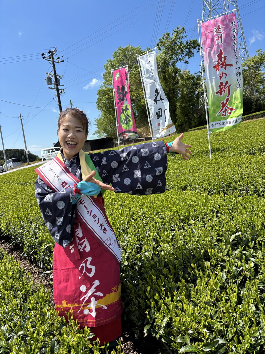 藤井ともよ tweet media