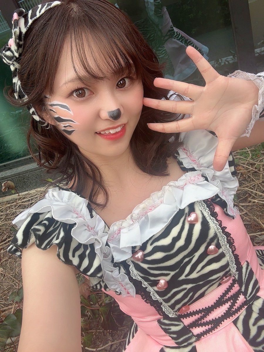 ゼブラ子(公式)🦓 tweet media