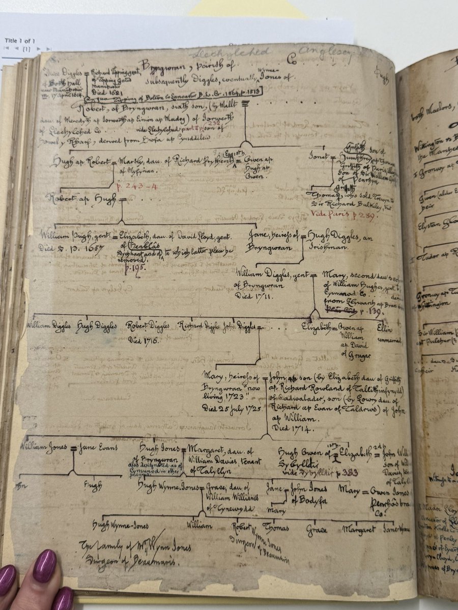 SoGGenealogist's tweet image. Today at the @SocGenealogists I  found evidence of the rural settlement  of a pauper admitted to an Islington Lunatic asylum in 1848 (and her husband’s family relationships), some beautiful Taicroesion manuscript Welsh pedigrees &amp;amp;  the Leeds County Court Ledger 1930-58 #genealogy