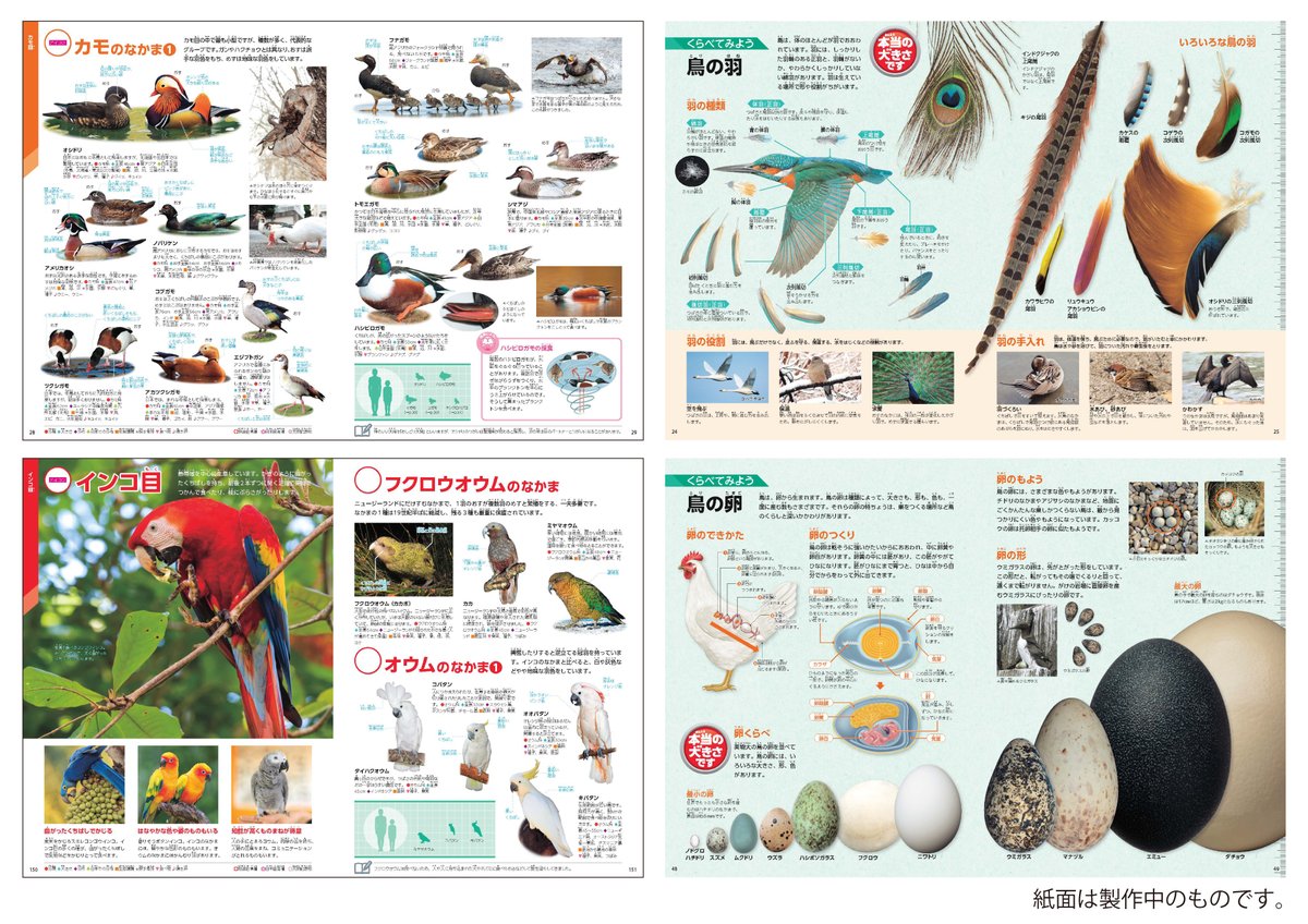 学研の図鑑LIVE 〈公式〉 on X: 