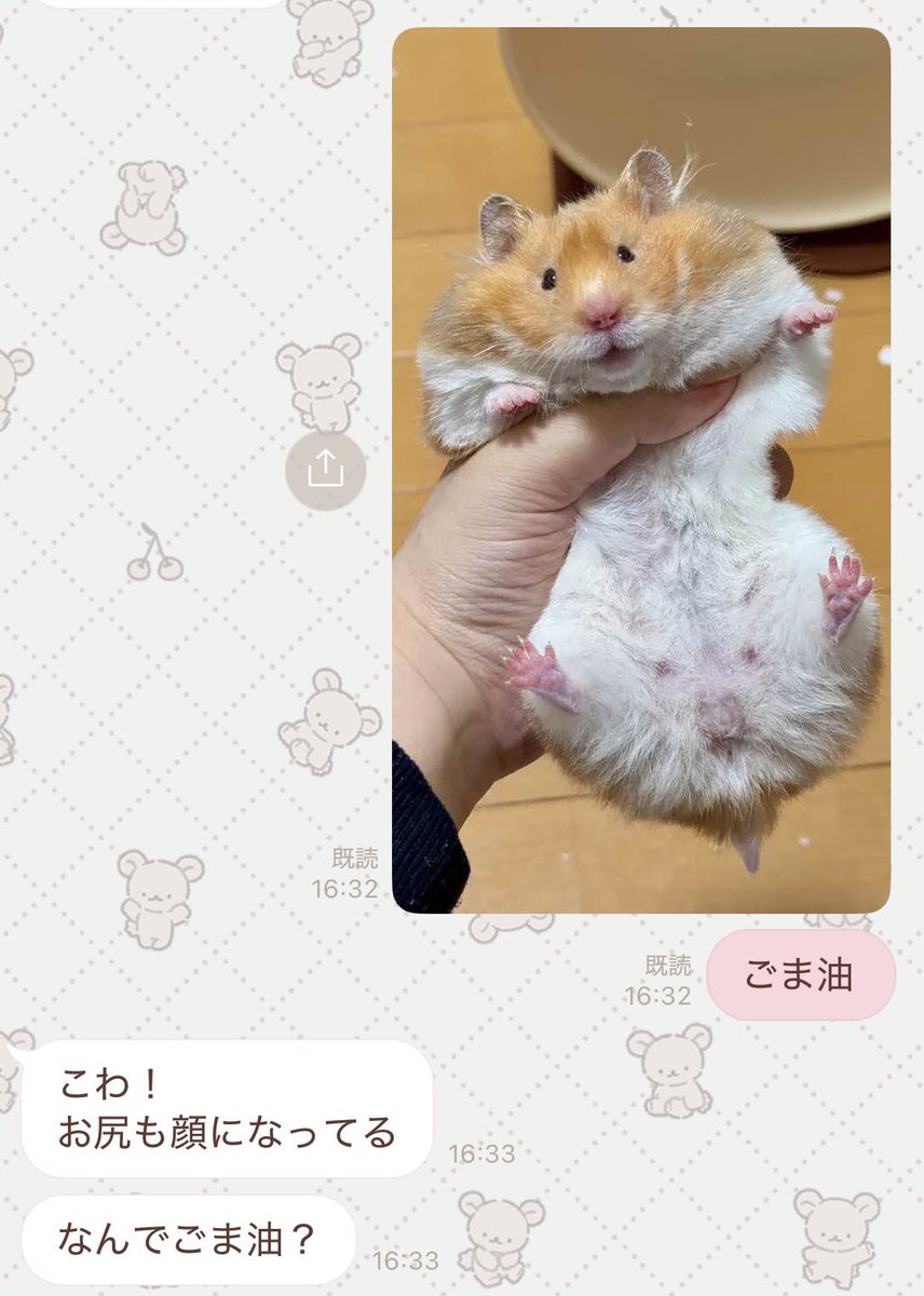 𝒎𝒆𝒘 tweet media