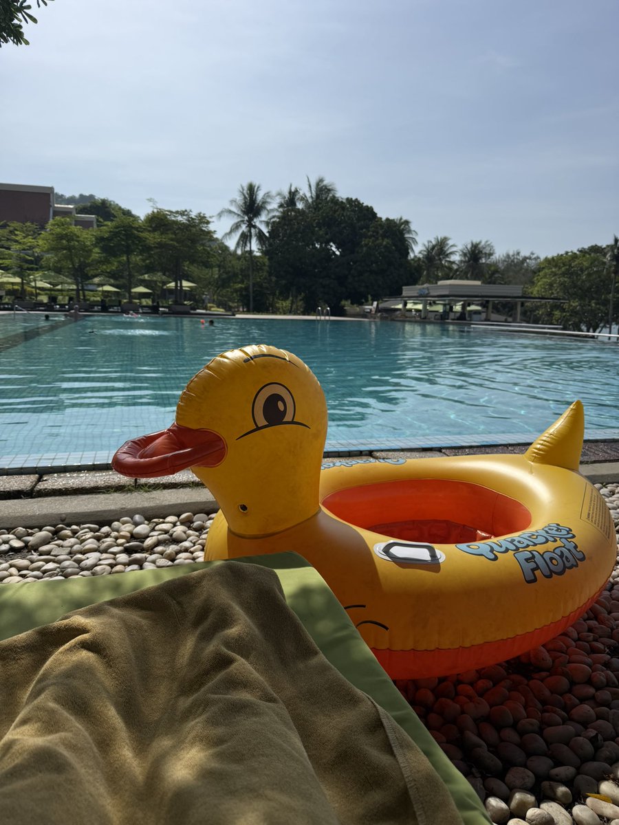sphfinder's tweet photo. It's been a while, but the duck is still going strong after all these years! https://t.co/iW7FoJ7HbF