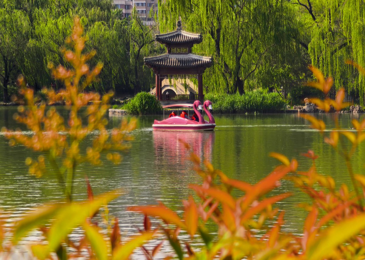 BeijingEvening's tweet image. 紫竹院公园处处洋溢着节日氛围
On the first day of the May Day holiday, #Beijing's Zizhuyuan Park was bustling with visitors, filled with a vibrant festive atmosphere.