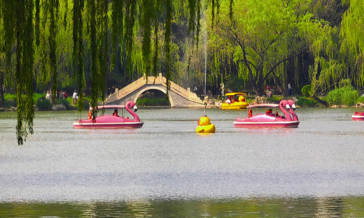 BeijingEvening's tweet image. 紫竹院公园处处洋溢着节日氛围
On the first day of the May Day holiday, #Beijing's Zizhuyuan Park was bustling with visitors, filled with a vibrant festive atmosphere.