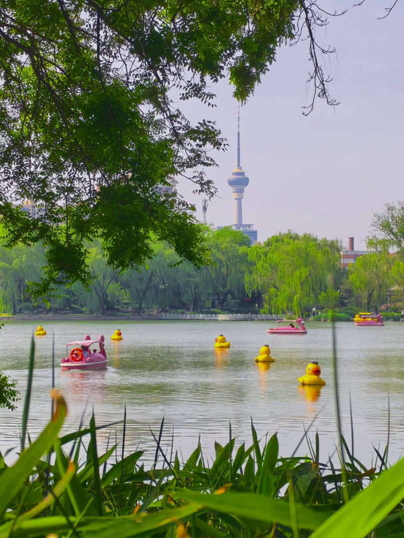BeijingEvening's tweet image. 紫竹院公园处处洋溢着节日氛围
On the first day of the May Day holiday, #Beijing's Zizhuyuan Park was bustling with visitors, filled with a vibrant festive atmosphere.