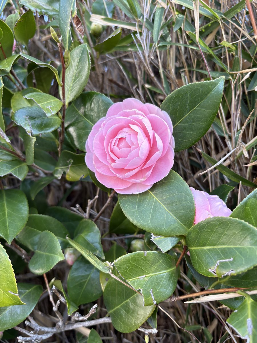 a01br's tweet photo. 4月もありがとうございました🙇🏻‍♀️
GWも営業していますし5月もまだまだ空き枠ありますのでよろしくお願いいたします◎ https://t.co/Q3G28ZJNIk