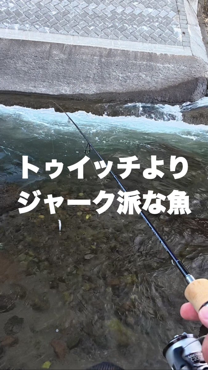 otonushi's tweet image. 先日の渓流釣りの思い出深いヒットシーンを、YouTubeショートにアップしましたー( ′∀‵)

トゥイッチよりもジャーク派な魚【渓流釣り】 #shorts youtube.com/shorts/G3f7Uap… @YouTubeより