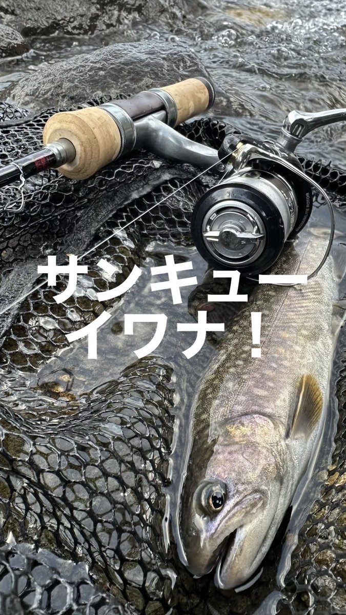otonushi's tweet image. 先日の渓流釣りの思い出深いヒットシーンを、YouTubeショートにアップしましたー( ′∀‵)

トゥイッチよりもジャーク派な魚【渓流釣り】 #shorts youtube.com/shorts/G3f7Uap… @YouTubeより