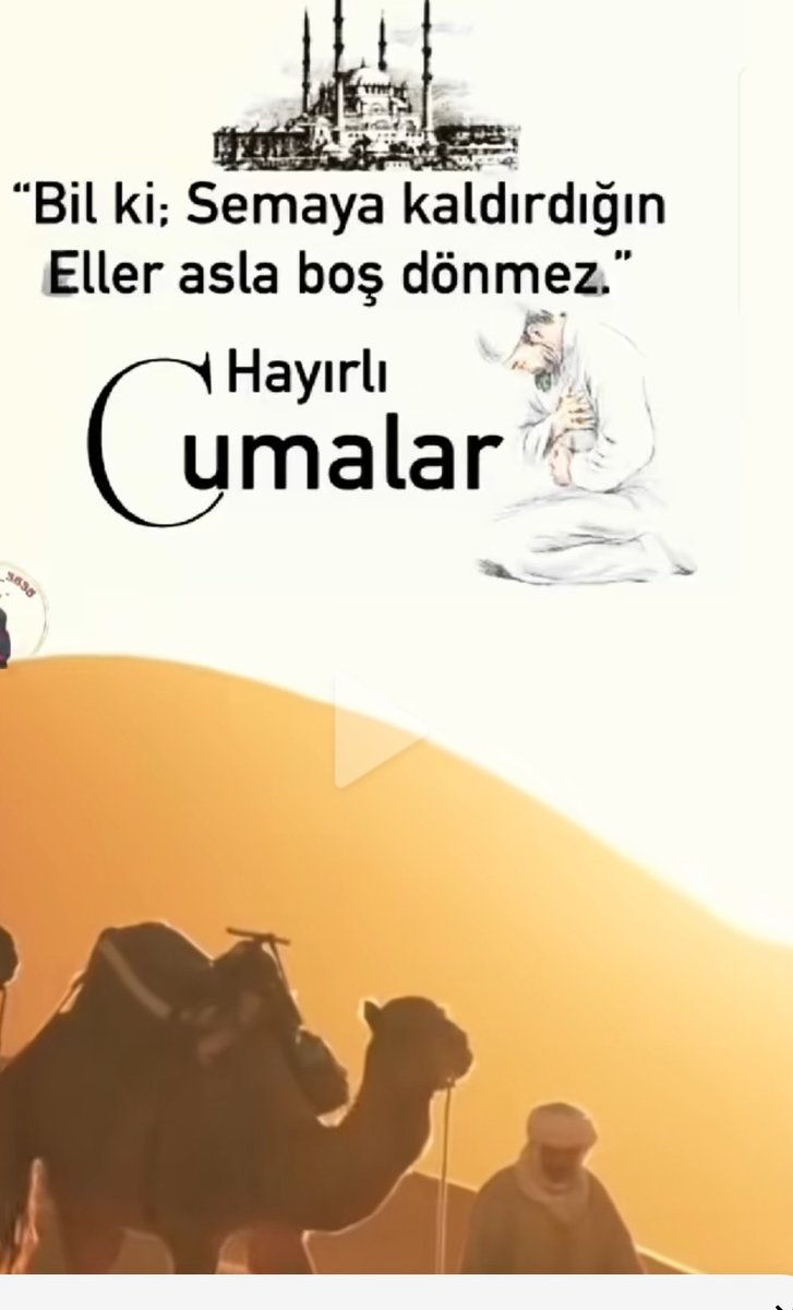 memet aydın tweet media