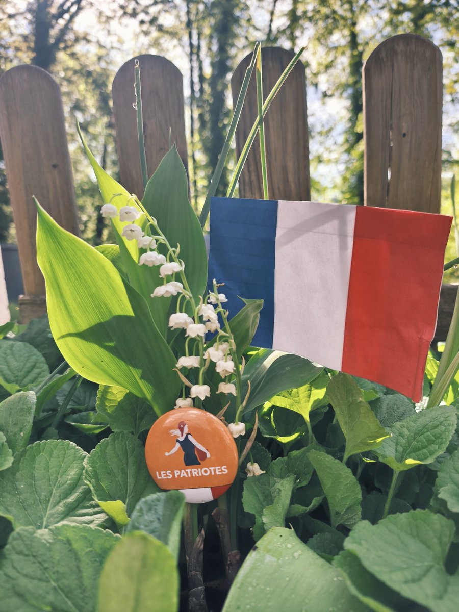 LIreLand1984's tweet image. En ce 1er mai, je vous partage un brin de tout pour faire un Grand Bonheur 🧡
#FranceLibre
#Bonheur
#Frexit