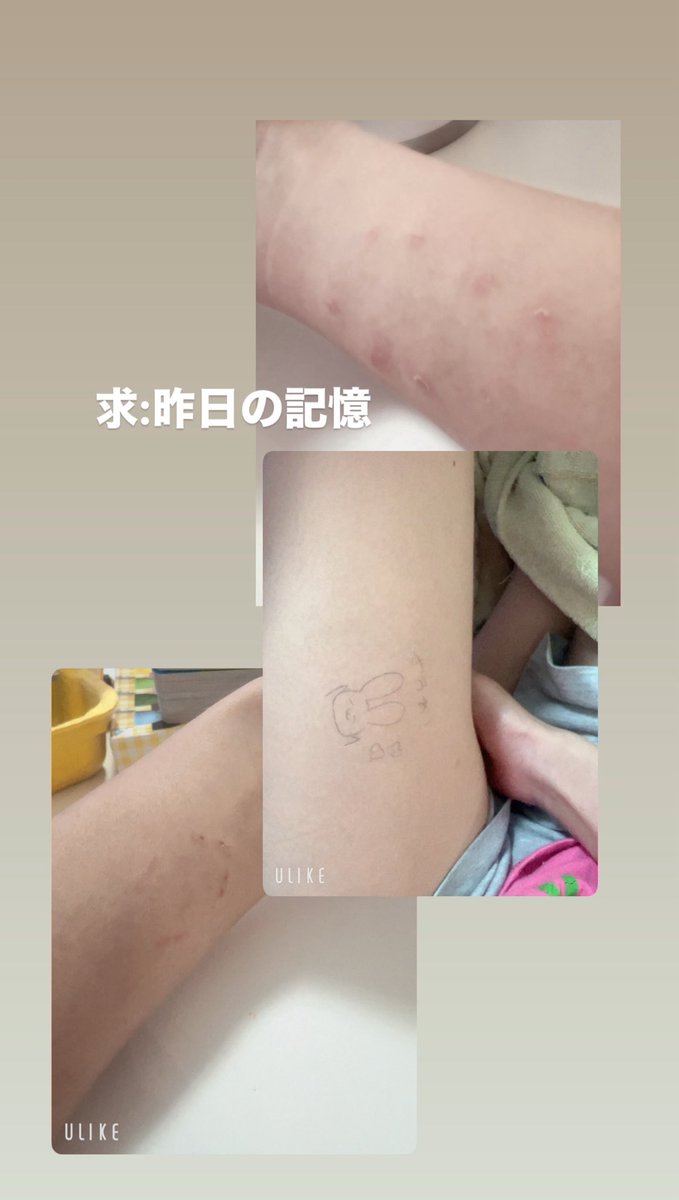 ウオタミちゃん🦈(Kurumi) tweet media