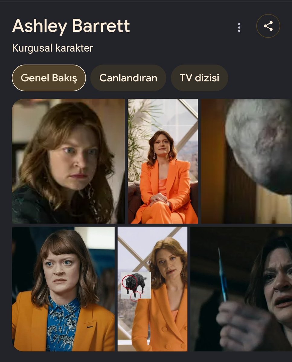 yungbabel_'s tweet photo. @ajansmuhbir1923 Kadın bu olabilir mi? https://t.co/yKdLVLxyrR