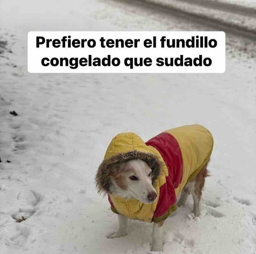 En Júpiter tweet media