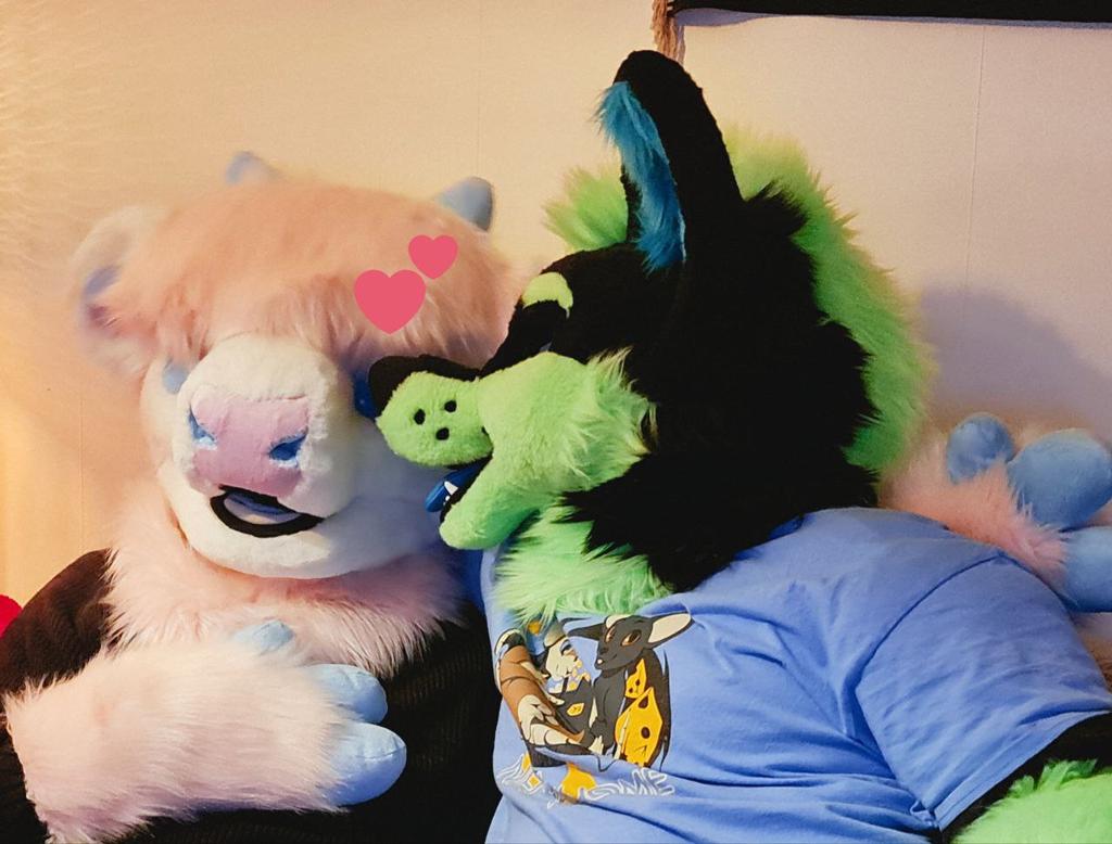 Arrackwolf's tweet photo. Happy #FursuitsFriday everyone!
It was valborg in Sweden yesterday so we went out for a spa cruise, lots of  good food and just relax with my love @HighlanderOttie ❤️❤️❤️.

🪡🐺 @TheKarelia 
🪡🐮 @aSaltyBunny https://t.co/bBrI2JcVFN