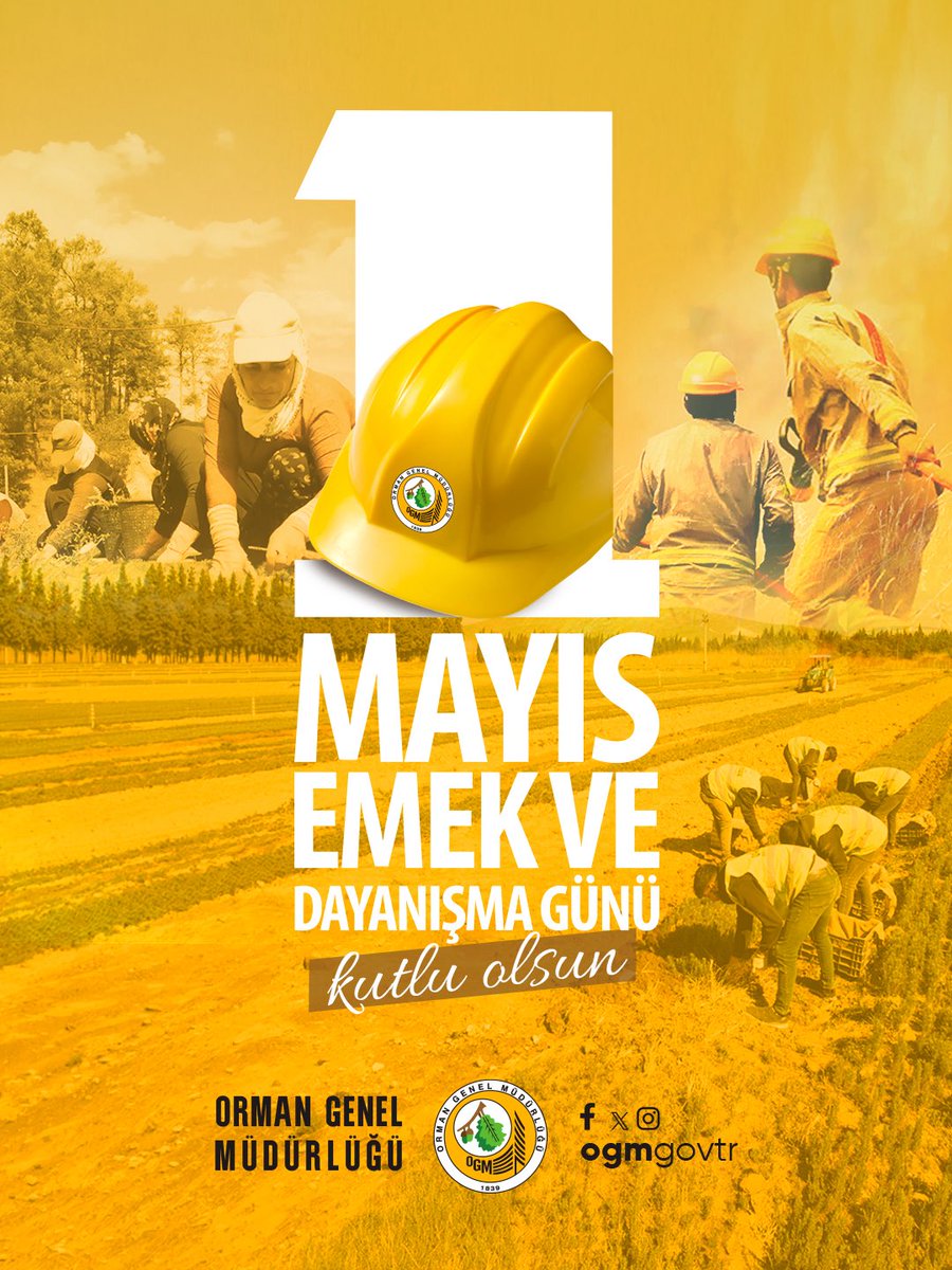 Orman Genel Müdürlüğü tweet media