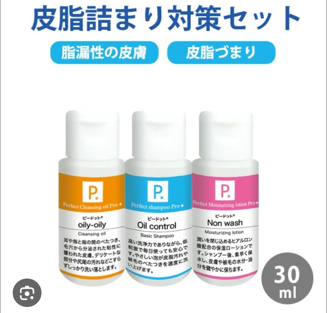 レイナ@ほぼフェレットな趣味垢🦦 tweet media