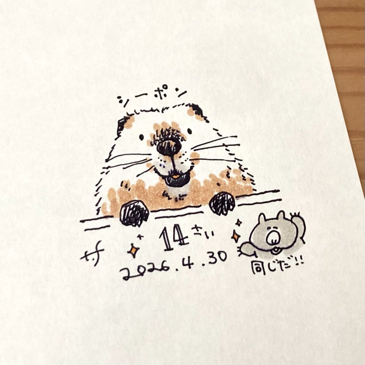 Tomomi Fujii (ずんぐりや) tweet media
