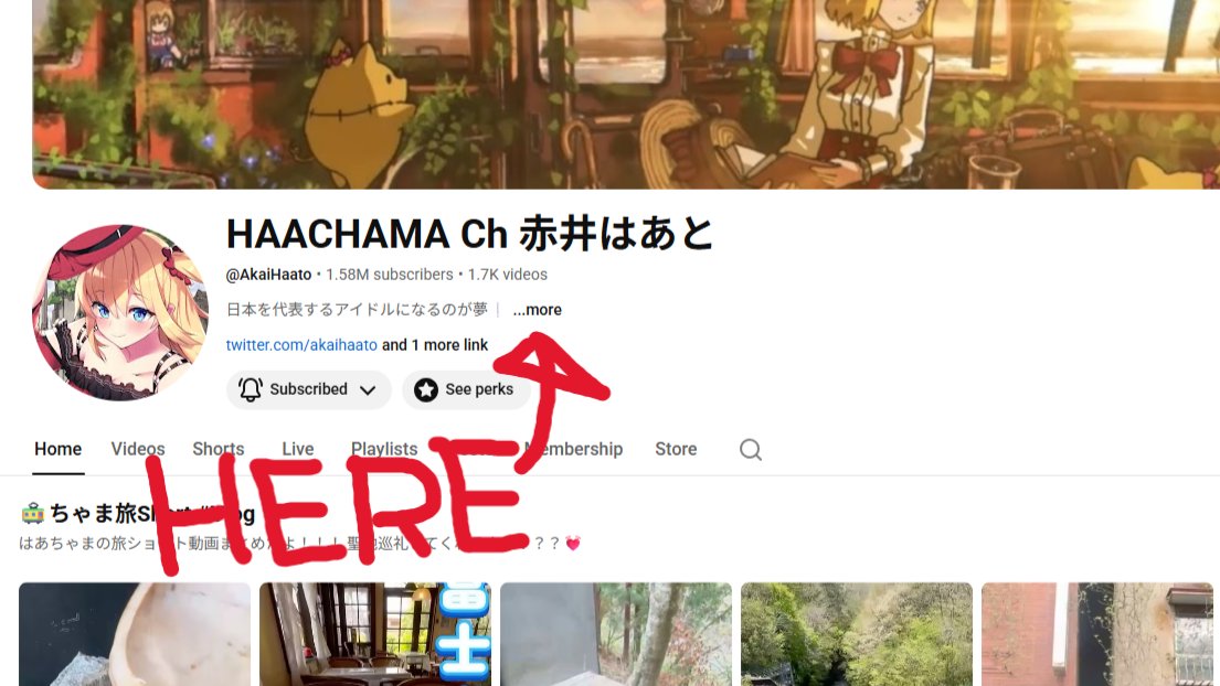 ホロのはあとん【はあちゃま切り抜き】 tweet media