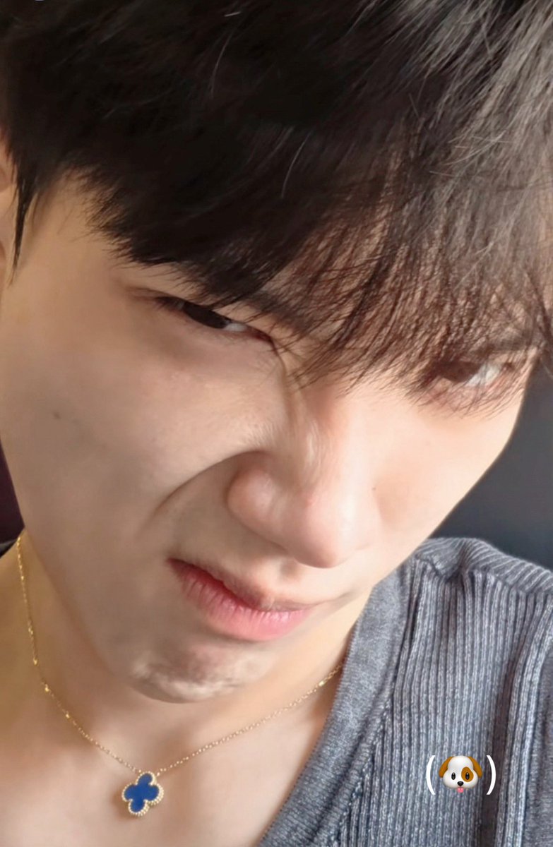 มูมู่ววเบิ้บอู๋อี้จ้า ‧₊˚ tweet media